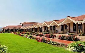 Summer Vines - Nashik